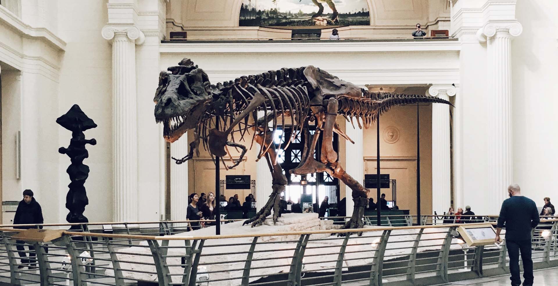 The dinosaur exhibit of the Field Museum in Chicago, with a T-Rex skeleton in the foreground.