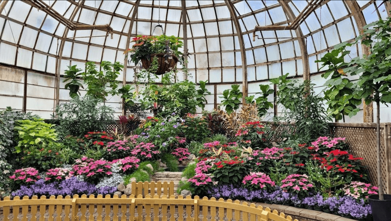 Flowers and hanging baskets at the Chicago Conservatories.