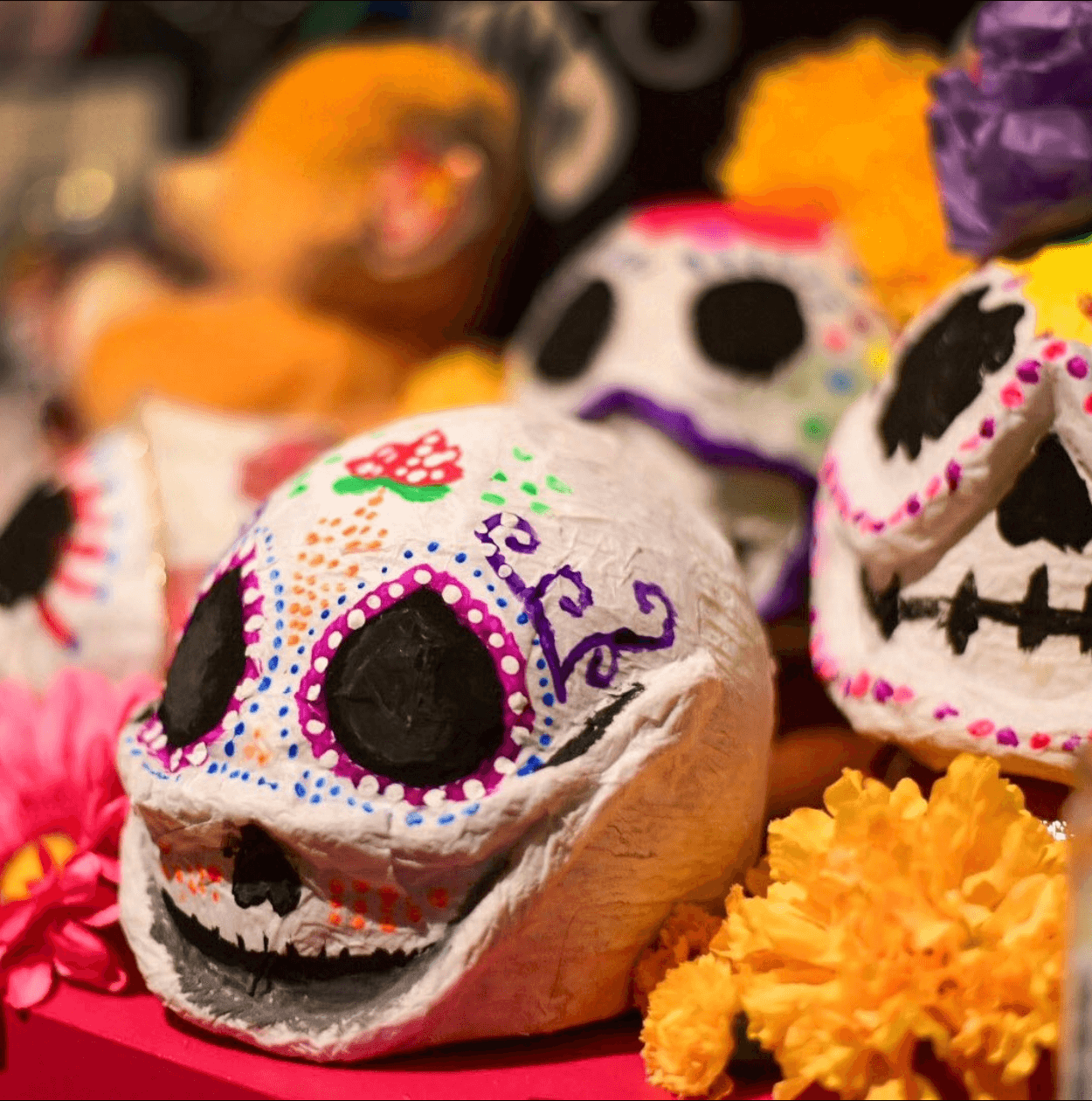 Close up of painted Day of the Dead skull sculptures at the National Museum of Mexican Art in Chicago.